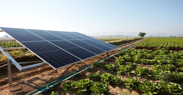 A agro-fotônica se beneficiar dos painéis solares que transformar luz em energia. - Foto: Reprodução/Agrishow Digital